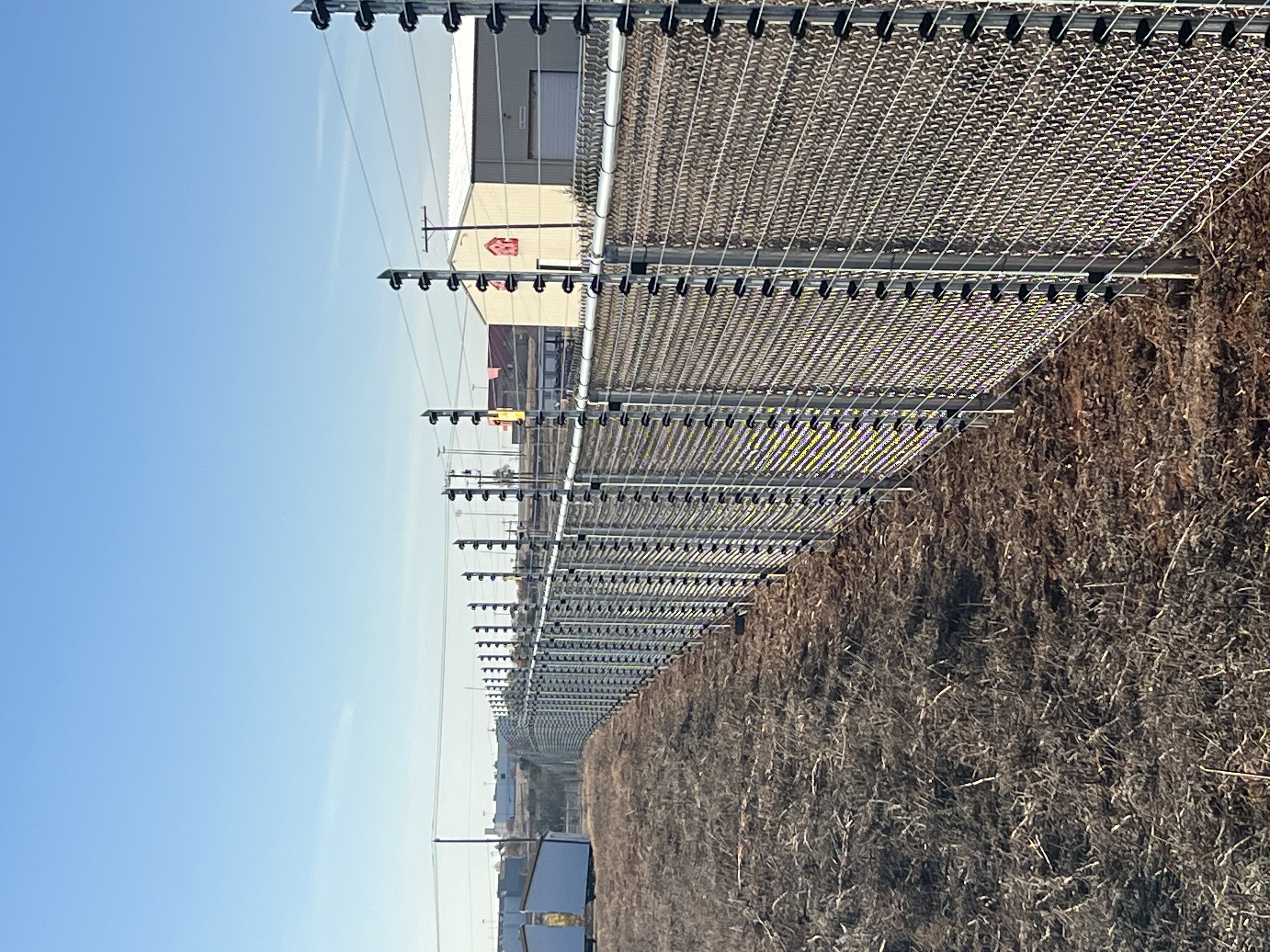 Security fence with grass